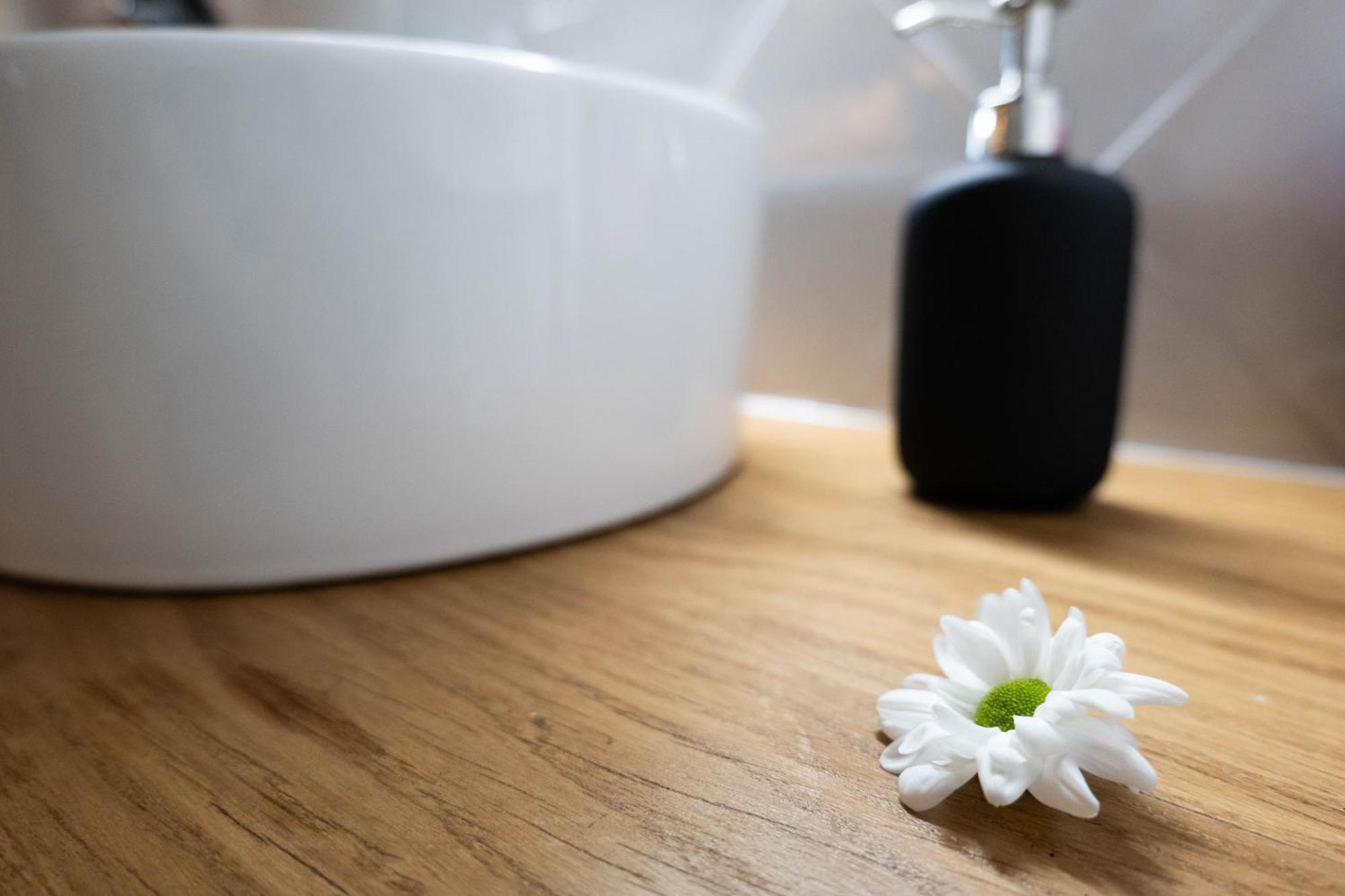 Apartament Niu De Queralt Vic Zewnętrze zdjęcie