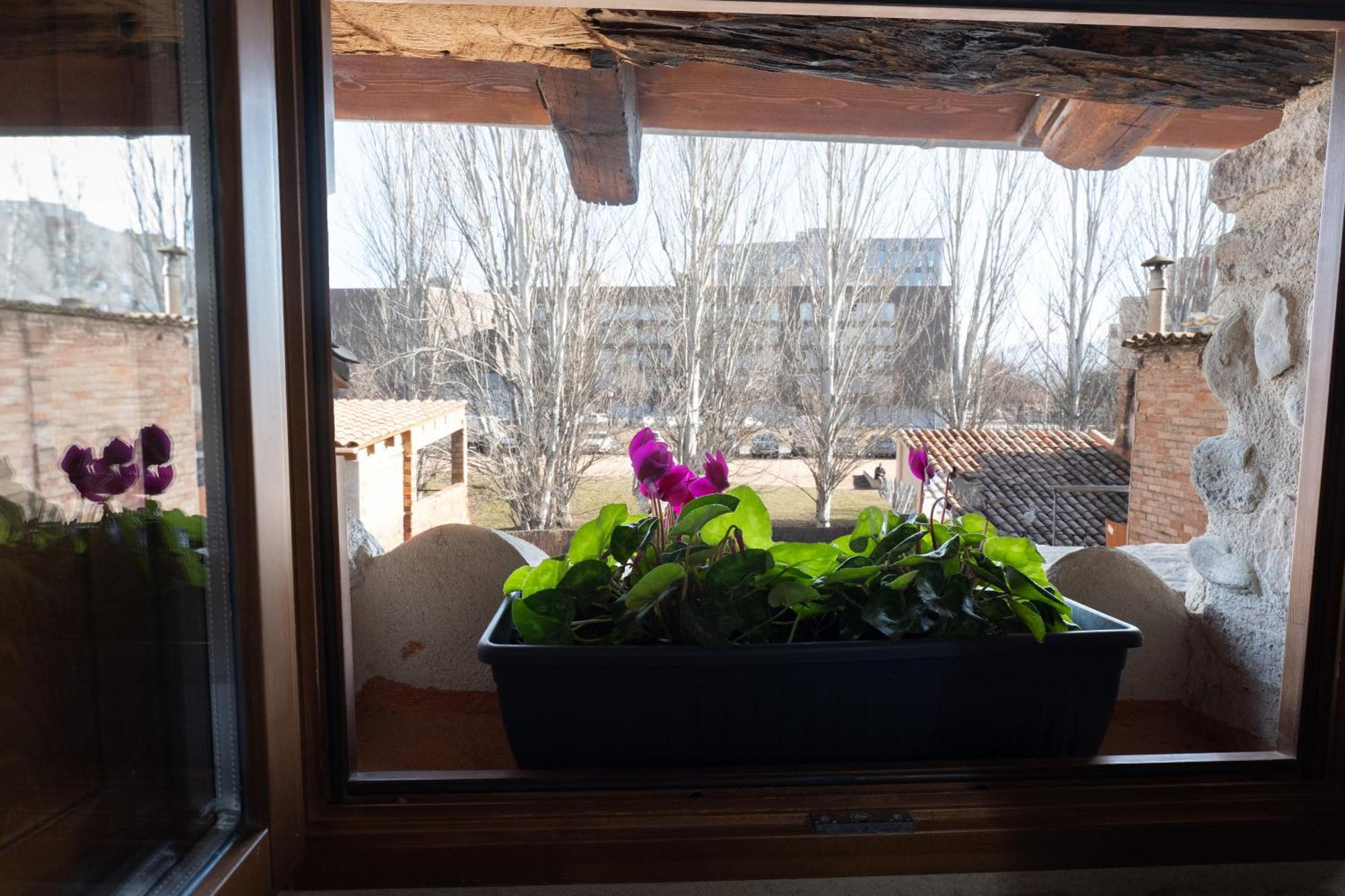 Apartament Niu De Queralt Vic Zewnętrze zdjęcie